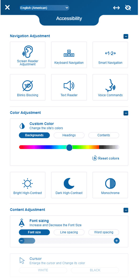 accessibility widget