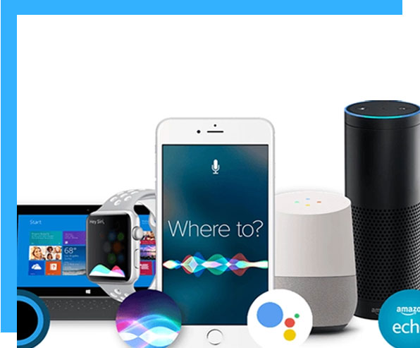 voice search devices